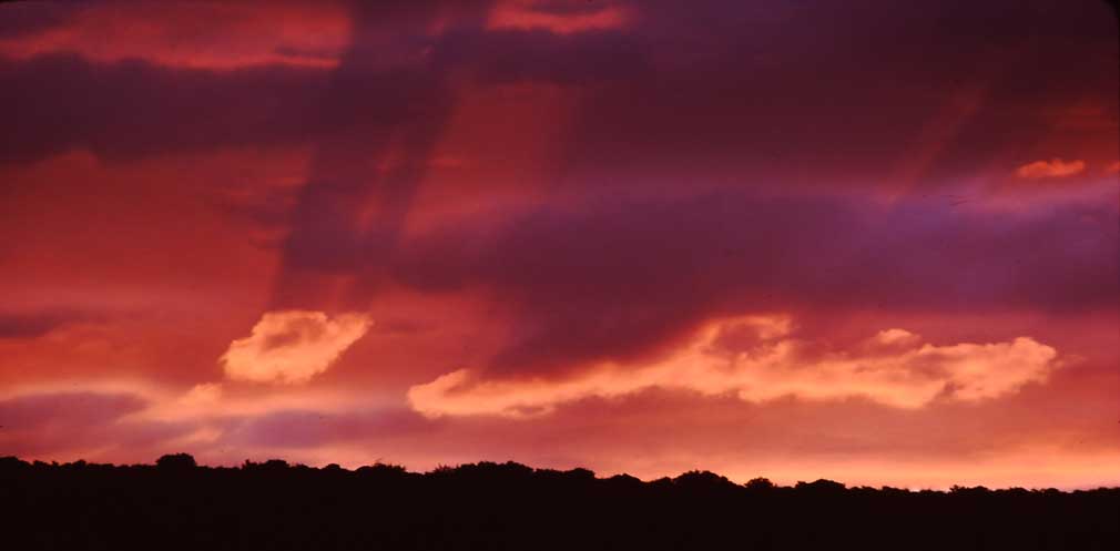 Montana Sunset
